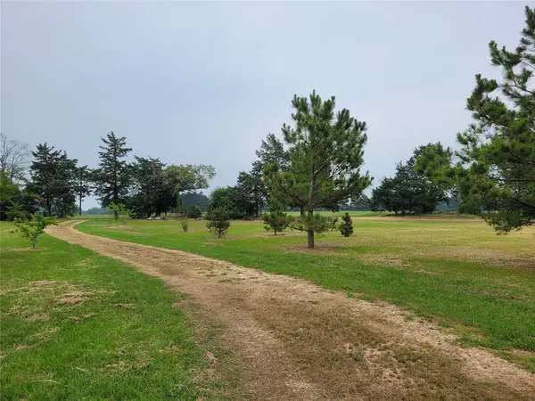 700 CR 45900, Detroit, TX 75436