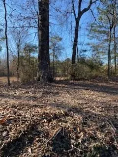 0 Bellevue Road #Lot 2, Haughton, LA 71037