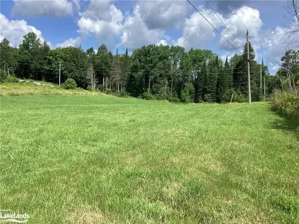 0 LAKEVIEW DR W, Ryerson, ON P0A 1C0