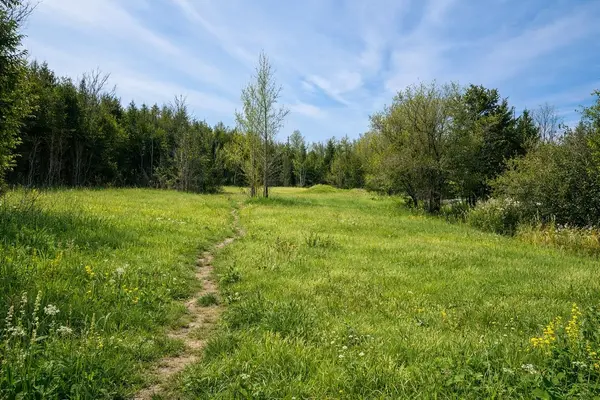 1578 Ramar LN, Greely - Metcalfe - Osgoode - Vernon And Area, ON K0A 2P0