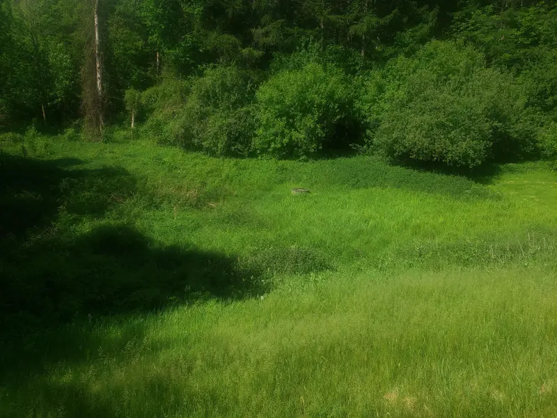 Part 3 Main ST #19904, Caledon, ON L7K 0C2