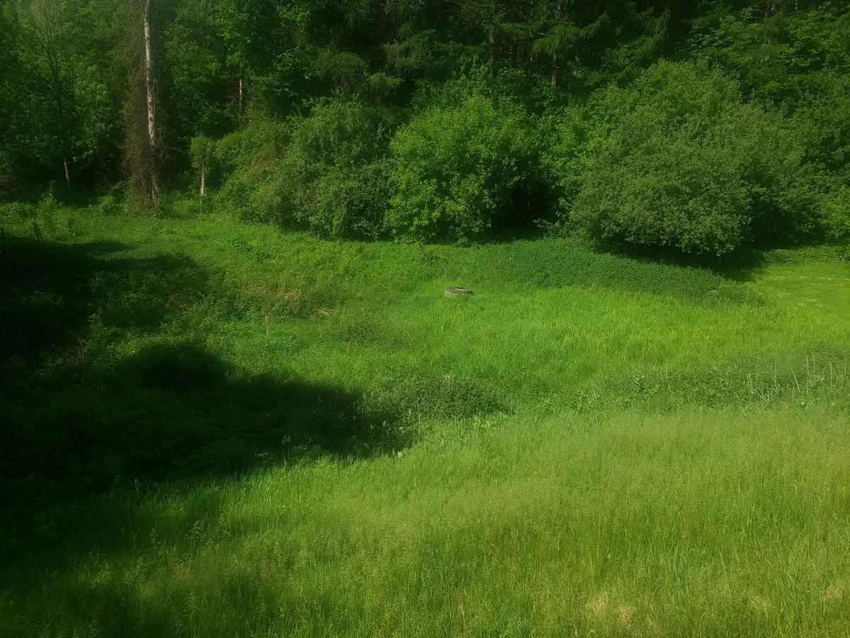 Part 3 Main ST #19904, Caledon, ON L7K 0C2