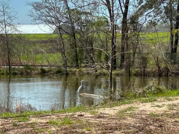 0 Kurth Drive, Lufkin, TX 75904