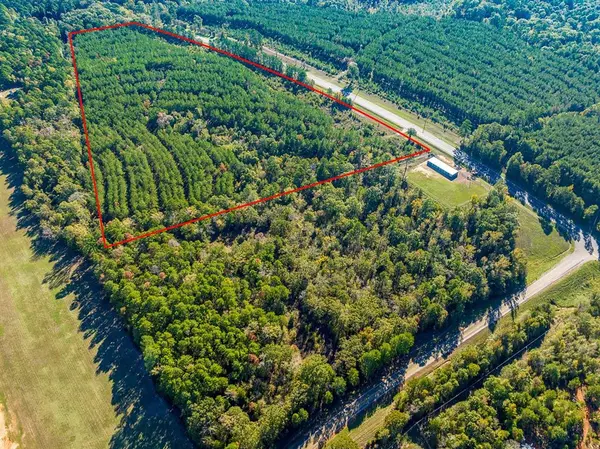 0 HWY 155, Avinger, TX 68846