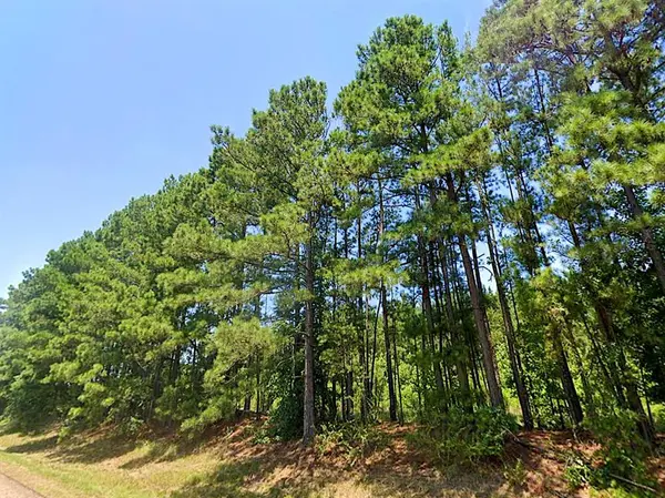 0 HWY 155, Avinger, TX 68846