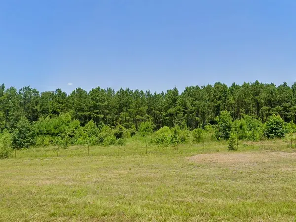 0 HWY 155, Avinger, TX 68846