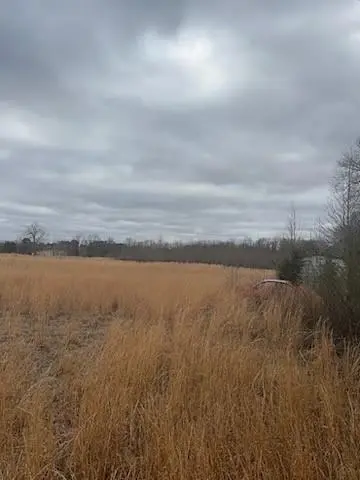 0 County Road 4322, Avery, TX 75554