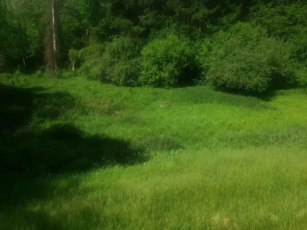 Part 3 Main ST #19904, Caledon, ON L7K 0C2