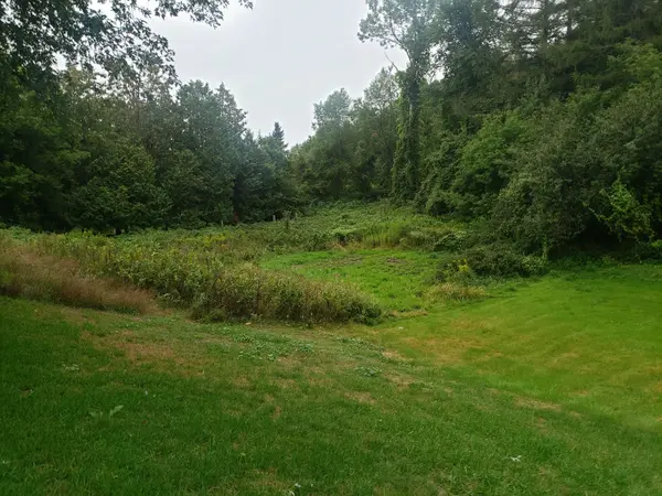 Part 3 Main ST #19904, Caledon, ON L7K 0C2