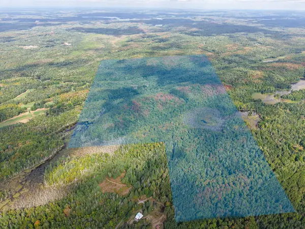 428 Jeff RD, North Kawartha, ON K0L 1C0