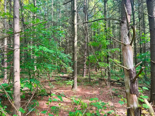 0 Mountsberg RD, Hamilton, ON L0P 1B0