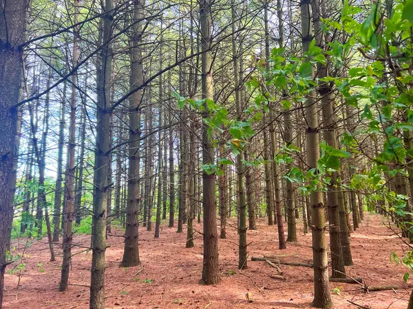 0 Mountsberg RD, Hamilton, ON L0P 1B0