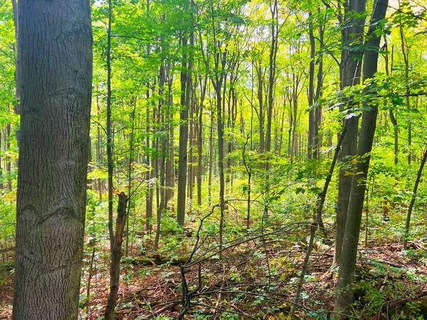 0 Mountsberg RD, Hamilton, ON L0P 1B0