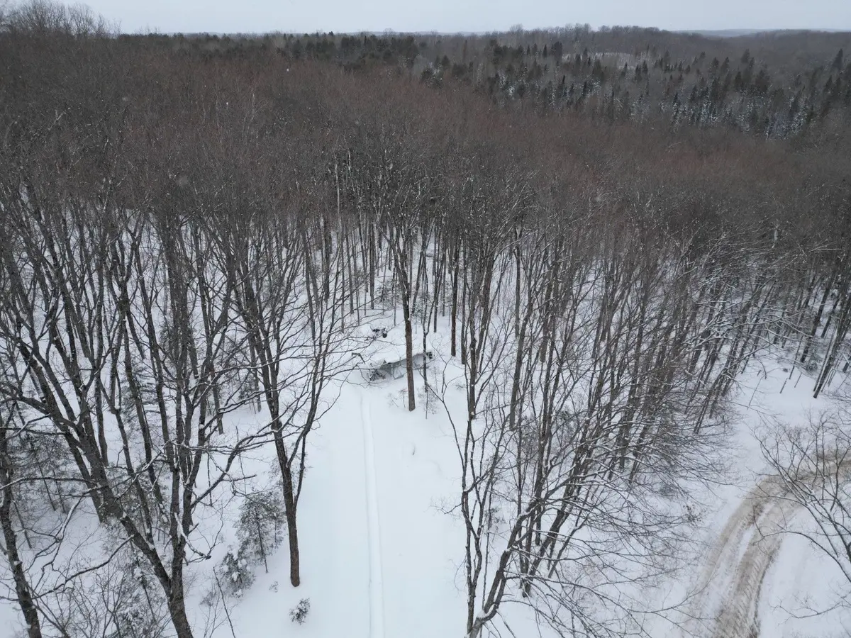 1579 Paynes RD, Highlands East, ON K0M 2Y0