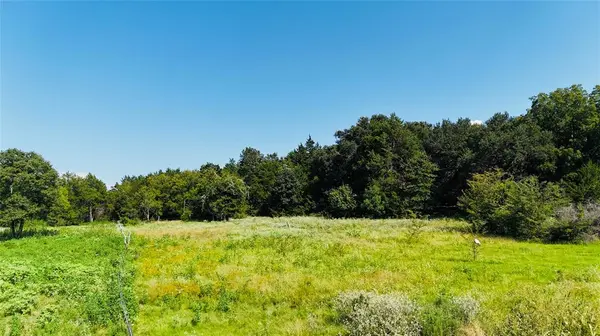 TBD FM 1129 Road, Chatfield, TX 75105