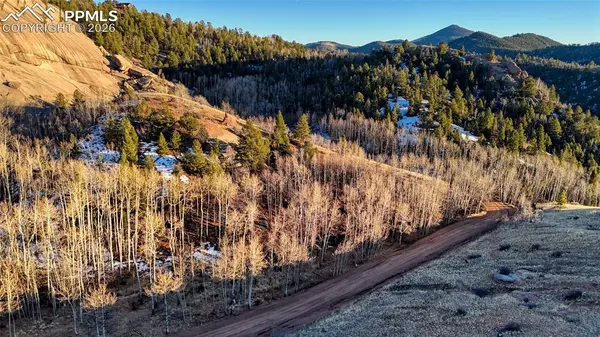 524 Buckhorn RD, Cripple Creek, CO 80813