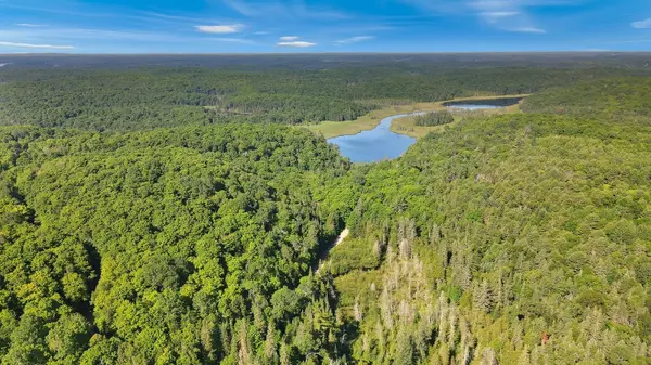 1579 Paynes RD, Highlands East, ON K0M 2Y0