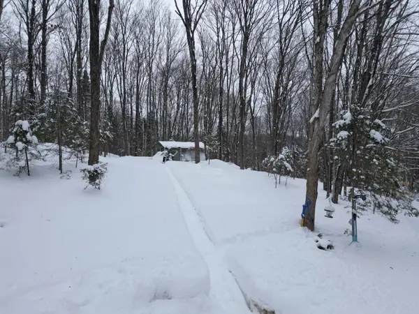 1579 Paynes RD, Highlands East, ON K0M 2Y0