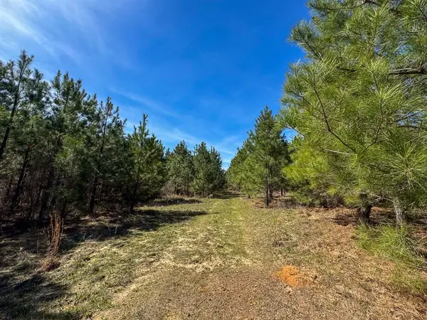 12 United Gas Road 1, Rodessa, LA 71069