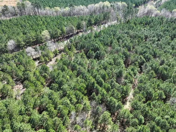 12 United Gas Road 1, Rodessa, LA 71069