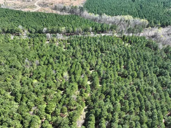 12 United Gas Road 1, Rodessa, LA 71069