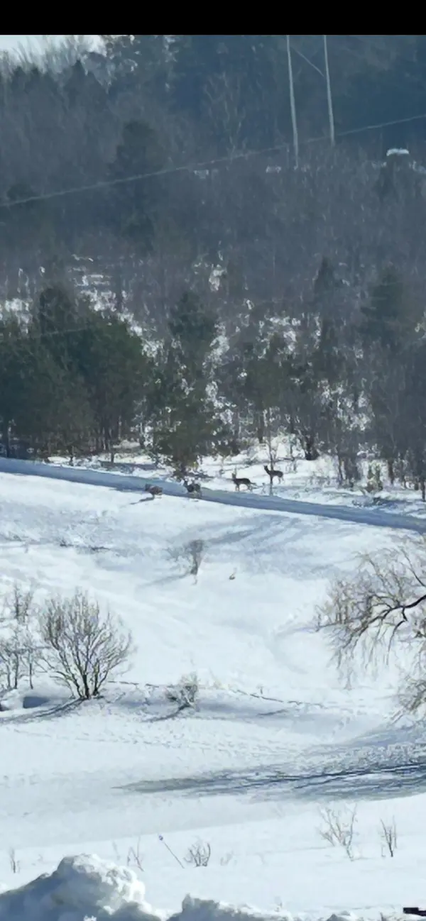 557440 4th Concession S, Meaford, ON N4K 5N8