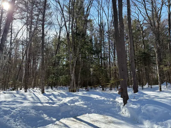 1124 Little Hawk Lake RD, Algonquin Highlands, ON K0M 1S0