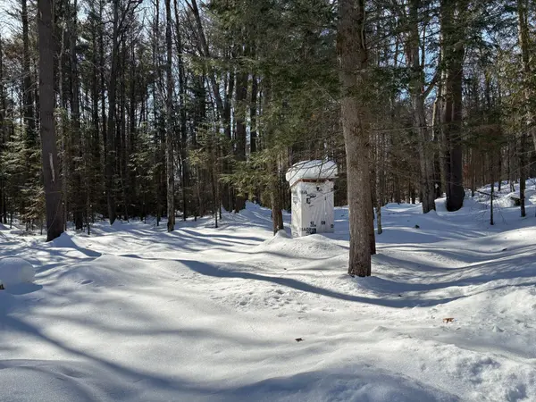 1124 Little Hawk Lake RD, Algonquin Highlands, ON K0M 1S0