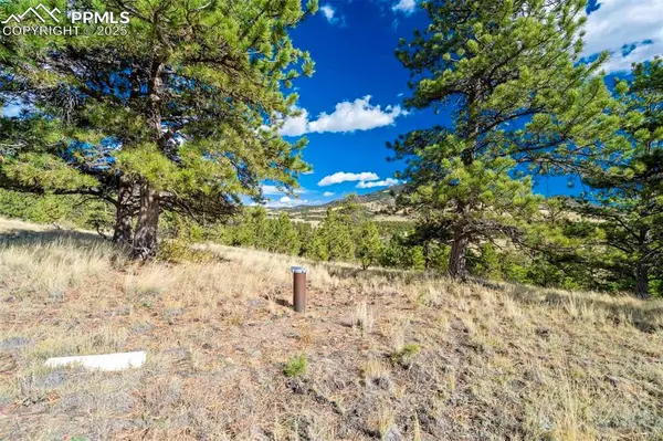 455 County Road 132, Guffey, CO 80820