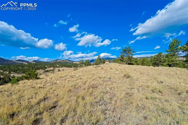 455 County Road 132, Guffey, CO 80820