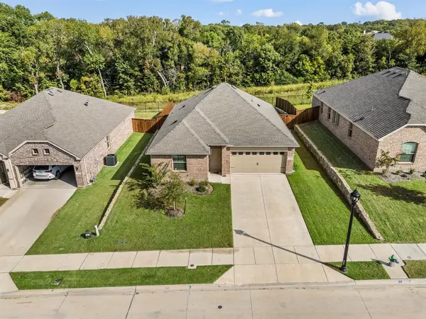 3200 Willow Terrace Lane, Anna, TX 75409