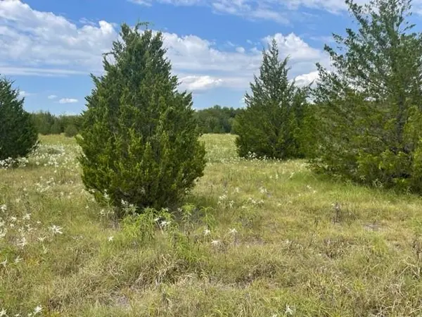 Tract 20 CR 4813, Commerce, TX 75428