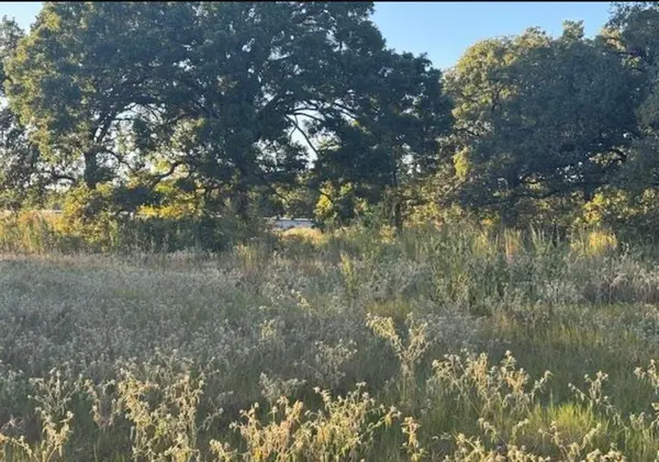 767 Welch Lane, Gun Barrel City, TX 75156