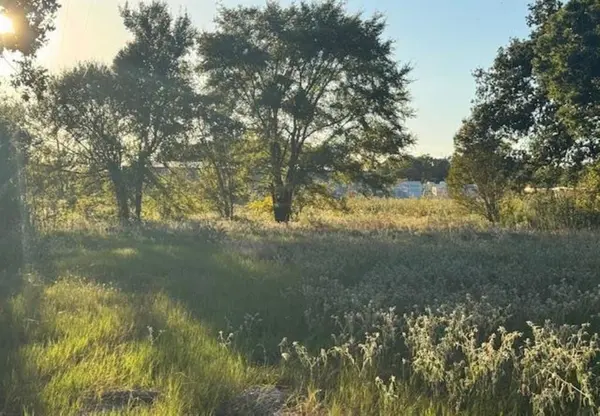 767 Welch Lane, Gun Barrel City, TX 75156