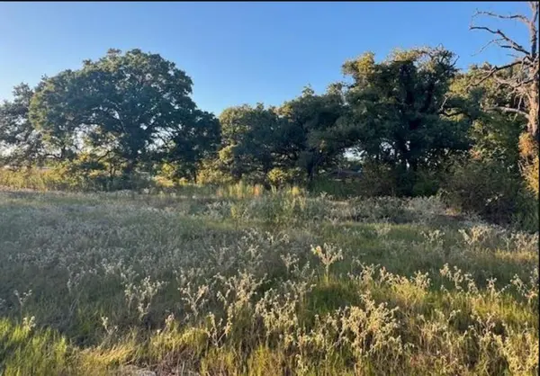 767 Welch Lane, Gun Barrel City, TX 75156