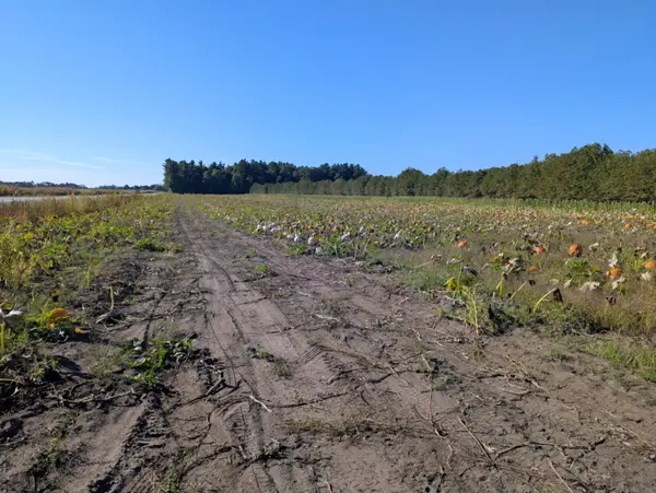 7343 Plank RD, Bayham, ON N0J 1Y0