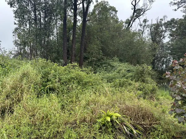 18-4104 HOHIU ST, Mountain View, HI 96771