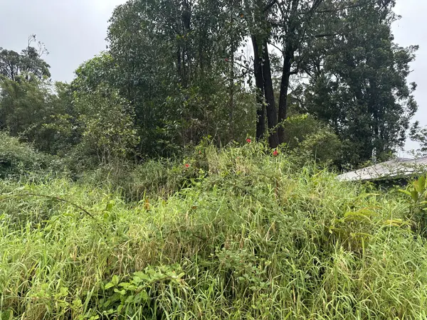 18-4104 HOHIU ST, Mountain View, HI 96771