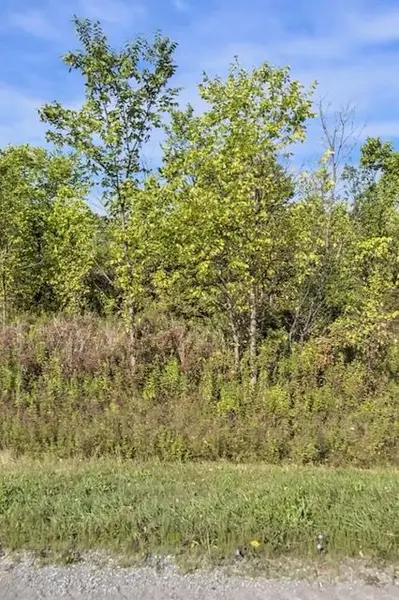 Lot 3 Montrose RD, Niagara Falls, ON L3B 5N7