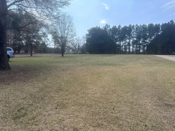 TBD CR 1503, Alba, TX 75410