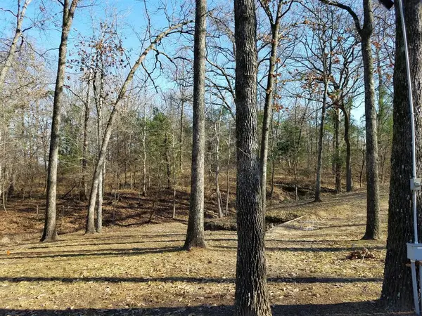 TBD CR 1503, Alba, TX 75410