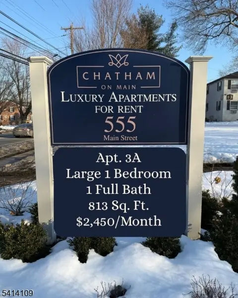 555 Main St - Apt. 3A #3A, Chatham Boro, NJ 07928