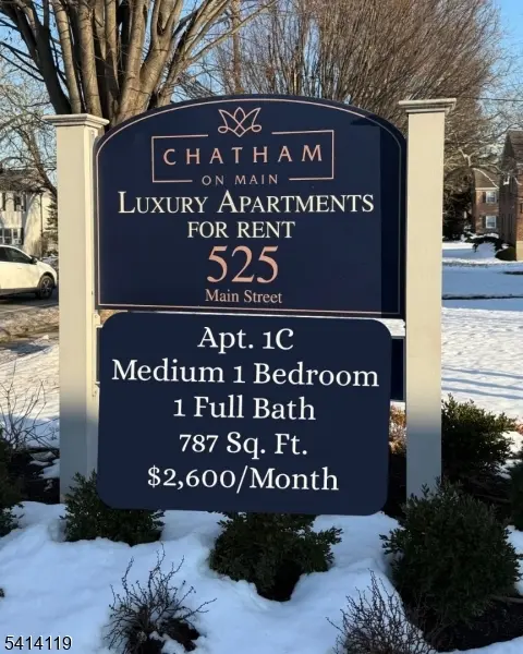 525 Main St - Apt. 1C #1C, Chatham Boro, NJ 07928
