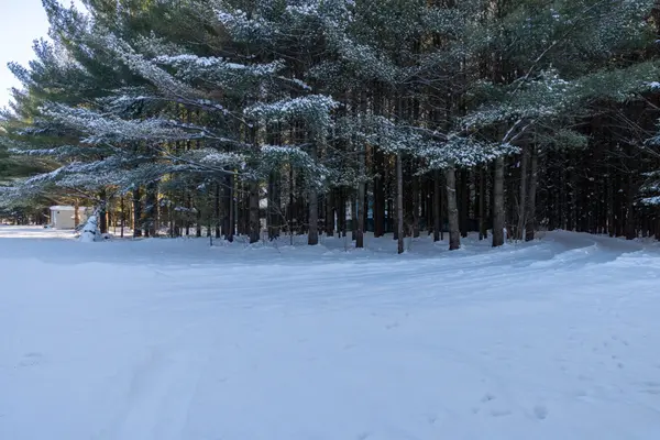 21626 Highway 48 RD, East Gwillimbury, ON L0G 1M0