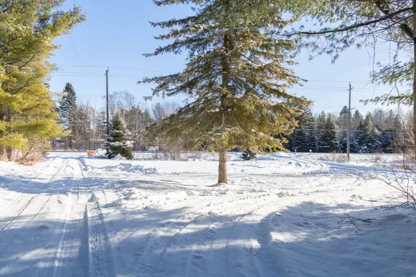 21626 Highway 48 RD, East Gwillimbury, ON L0G 1M0