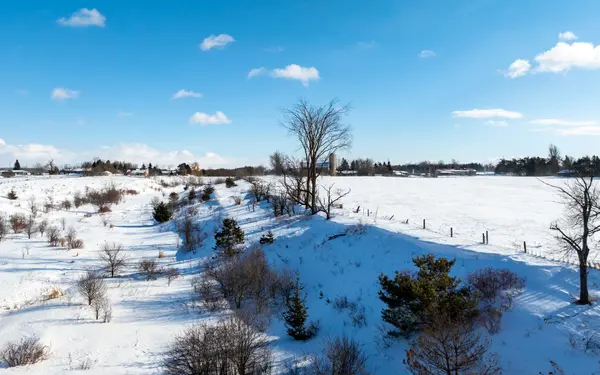 7092 County Road 27 RD, Essa, ON L0L 2N0