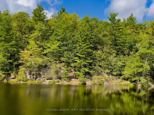 8860 County Rd 41 N/A, Addington Highlands, ON K0H 2A0