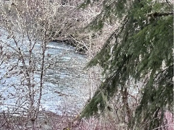 Highway 47, Vernonia, OR 97064