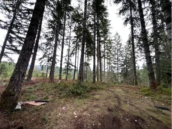 Highway 47, Vernonia, OR 97064