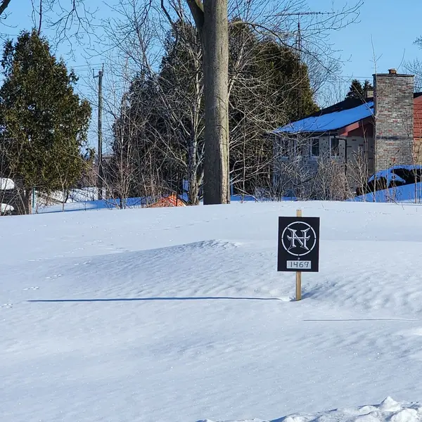 Address Not Disclosed